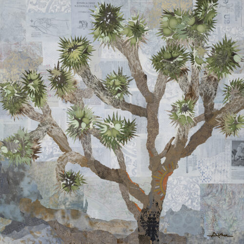 Joshua Tree