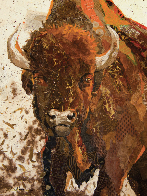 Bison - Art Althea - 48x36